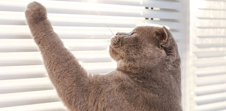 How to make your window blinds last longer